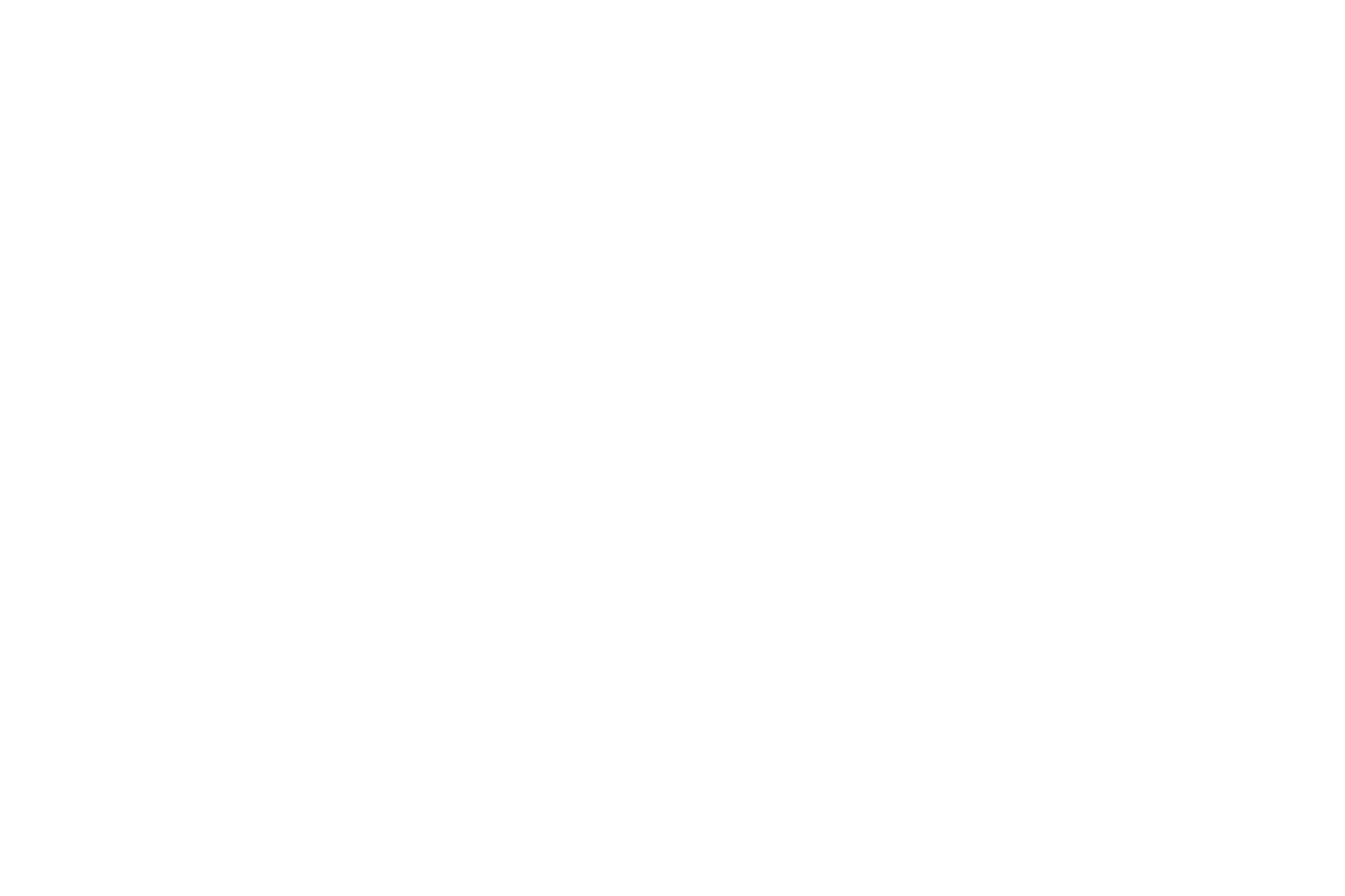 Bvrl_logo